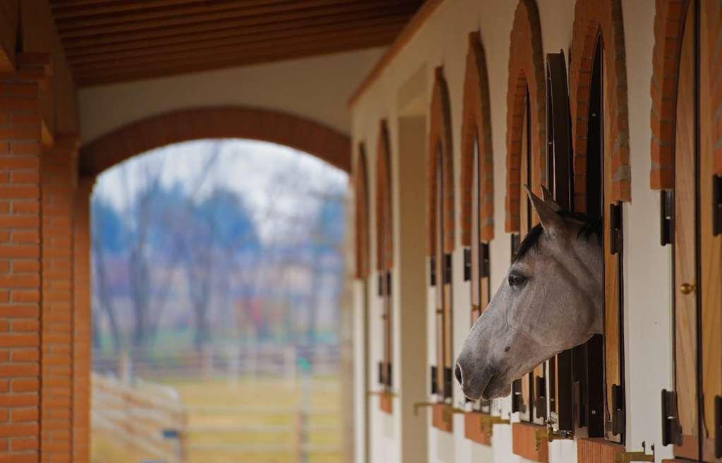 Agriturismo Il Boschetto Ornago Zařízení fotografie